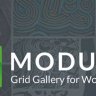 Modula Pro - Best WordPress Image Gallery